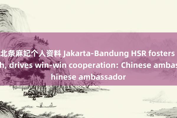 北条麻妃个人资料 Jakarta-Bandung HSR fosters growth, drives win-win cooperation: Chinese ambassador