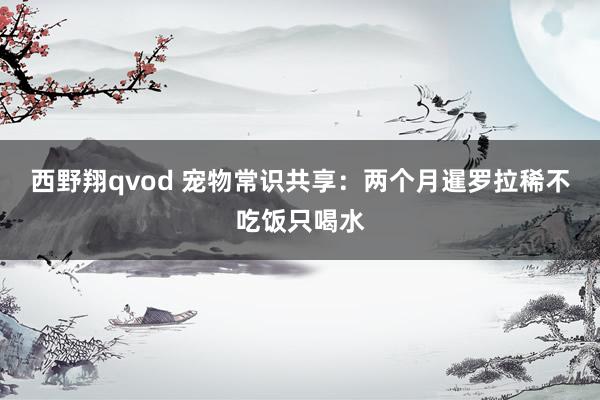 西野翔qvod 宠物常识共享：两个月暹罗拉稀不吃饭只喝水