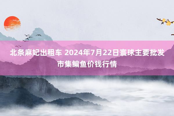 北条麻妃出租车 2024年7月22日寰球主要批发市集鳊鱼价钱行情