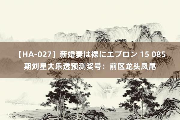 【HA-027】新婚妻は裸にエプロン 15 085期刘星大乐透预测奖号：前区龙头凤尾