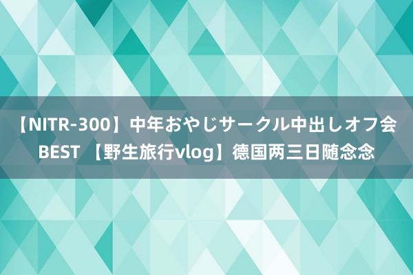 【NITR-300】中年おやじサークル中出しオフ会 BEST 【野生旅行vlog】德国两三日随念念