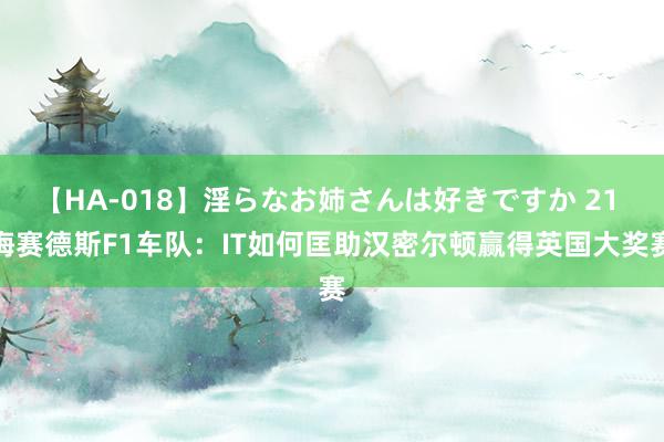 【HA-018】淫らなお姉さんは好きですか 21 梅赛德斯F1车队：IT如何匡助汉密尔顿赢得英国大奖赛