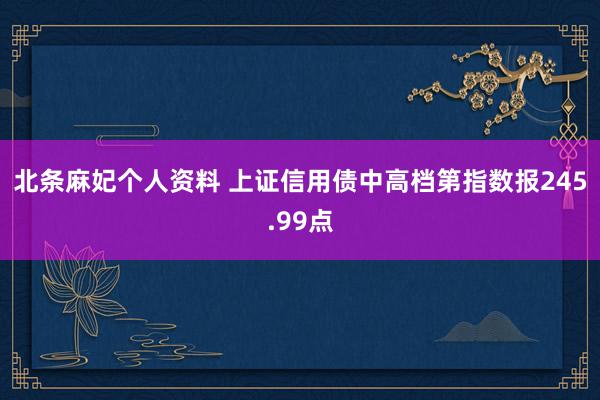 北条麻妃个人资料 上证信用债中高档第指数报245.99点