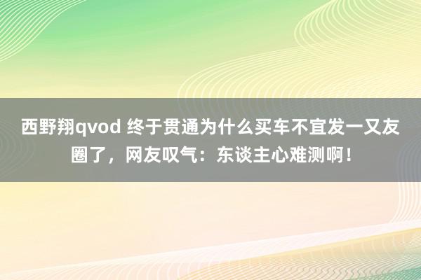 西野翔qvod 终于贯通为什么买车不宜发一又友圈了，网友叹气：东谈主心难测啊！