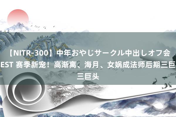 【NITR-300】中年おやじサークル中出しオフ会 BEST 赛季新宠！高渐离、海月、女娲成法师后期三巨头