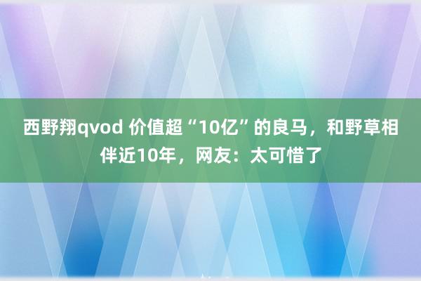 西野翔qvod 价值超“10亿”的良马，和野草相伴近10年，网友：太可惜了