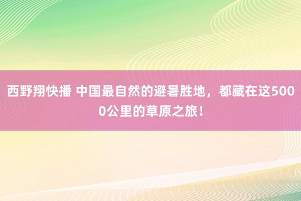 西野翔快播 中国最自然的避暑胜地，都藏在这5000公里的草原之旅！