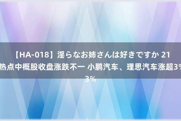 【HA-018】淫らなお姉さんは好きですか 21 热点中概股收盘涨跌不一 小鹏汽车、理思汽车涨超3%