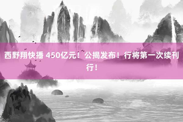 西野翔快播 450亿元！公揭发布！行将第一次续刊行！