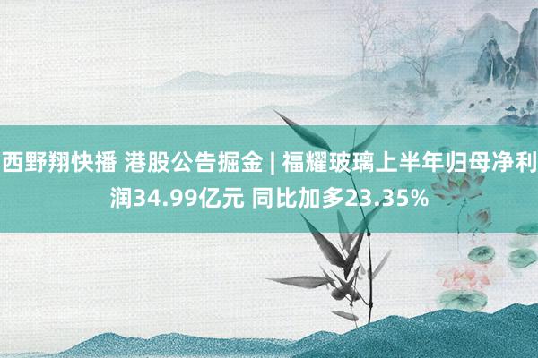 西野翔快播 港股公告掘金 | 福耀玻璃上半年归母净利润34.99亿元 同比加多23.35%