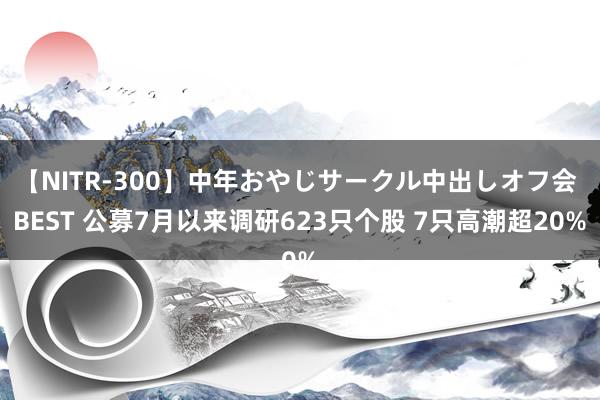 【NITR-300】中年おやじサークル中出しオフ会 BEST 公募7月以来调研623只个股 7只高潮超20%