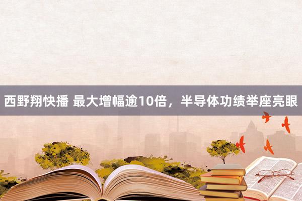 西野翔快播 最大增幅逾10倍，半导体功绩举座亮眼