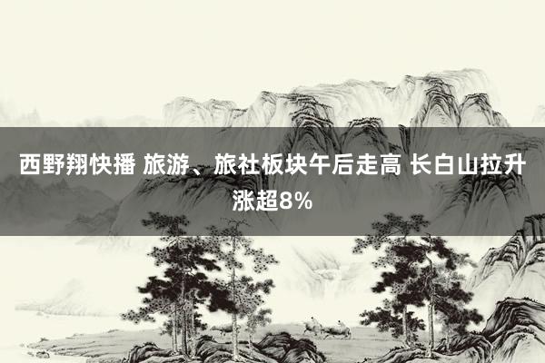 西野翔快播 旅游、旅社板块午后走高 长白山拉升涨超8%