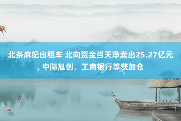 北条麻妃出租车 北向资金当天净卖出25.27亿元, 中际旭创、工商银行等获加仓