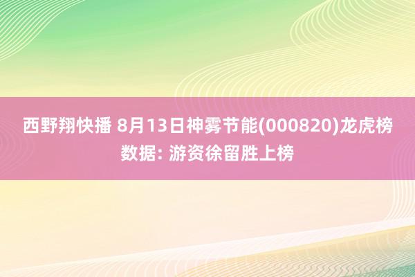 西野翔快播 8月13日神雾节能(000820)龙虎榜数据: 游资徐留胜上榜