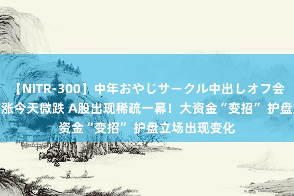 【NITR-300】中年おやじサークル中出しオフ会 BEST 昨日大涨今天微跌 A股出现稀疏一幕！大资金“变招” 护盘立场出现变化