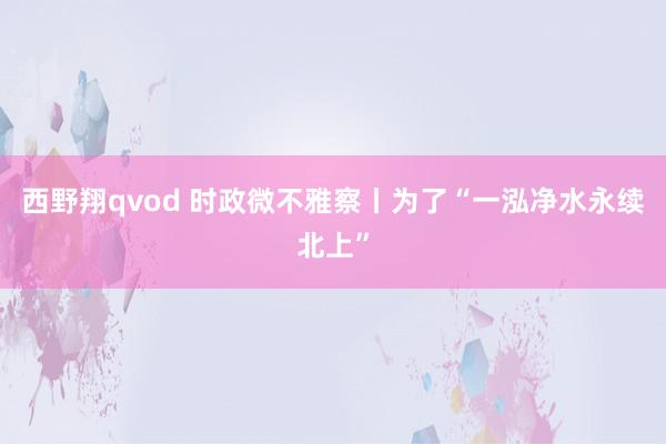 西野翔qvod 时政微不雅察丨为了“一泓净水永续北上”