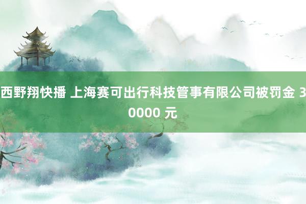 西野翔快播 上海赛可出行科技管事有限公司被罚金 30000 元