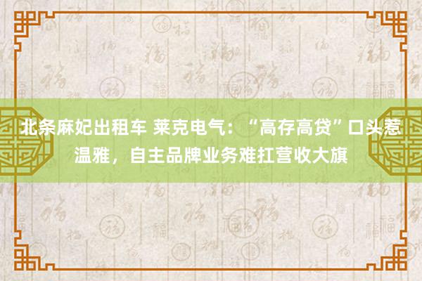 北条麻妃出租车 莱克电气：“高存高贷”口头惹温雅，自主品牌业务难扛营收大旗