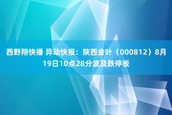 西野翔快播 异动快报：陕西金叶（000812）8月19日10点28分波及跌停板