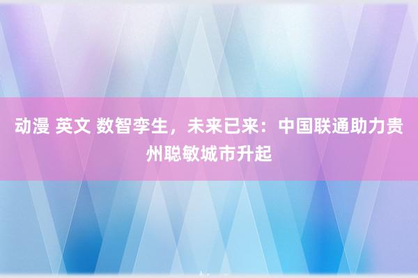 动漫 英文 数智孪生，未来已来：中国联通助力贵州聪敏城市升起