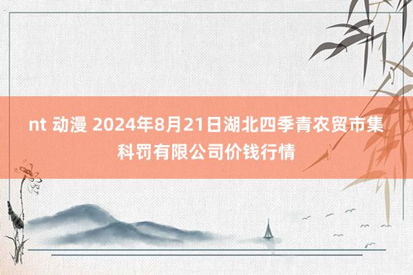 nt 动漫 2024年8月21日湖北四季青农贸市集科罚有限公司价钱行情