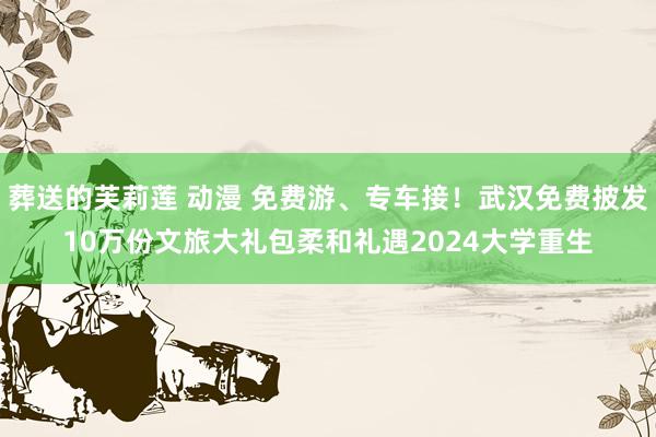 葬送的芙莉莲 动漫 免费游、专车接！武汉免费披发10万份文旅大礼包柔和礼遇2024大学重生