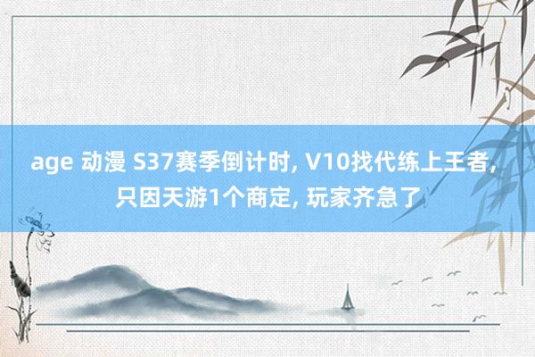 age 动漫 S37赛季倒计时, V10找代练上王者, 只因天游1个商定, 玩家齐急了