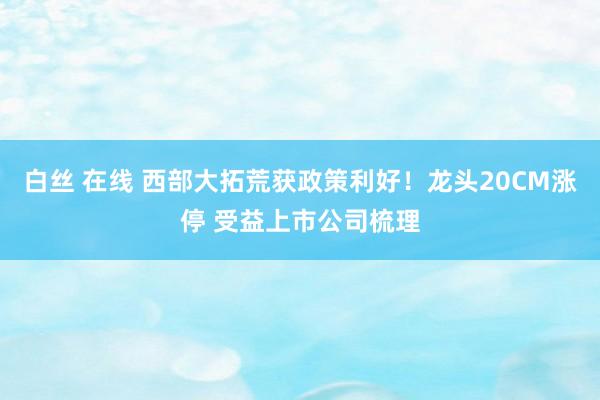 白丝 在线 西部大拓荒获政策利好！龙头20CM涨停 受益上市公司梳理